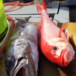 DSCF3118201312230003
