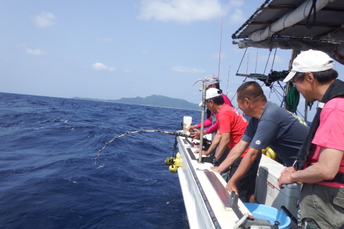 DSCF3927201405240020