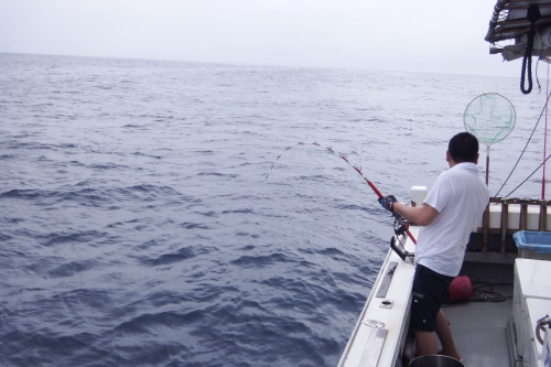 DSCF4293201406200013