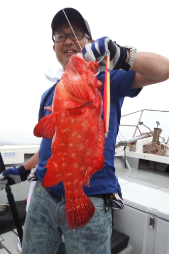 DSCF4408201407010016