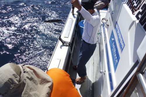 DSCF4445201407030002