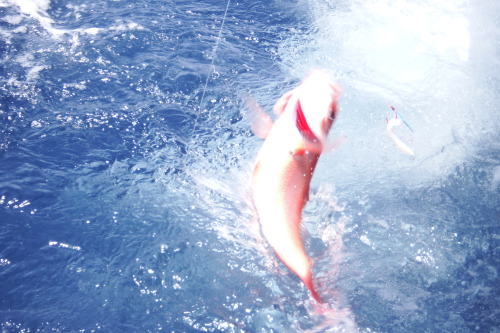 DSCF4553201407130014