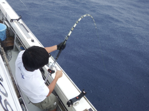 DSCF5355201509010029