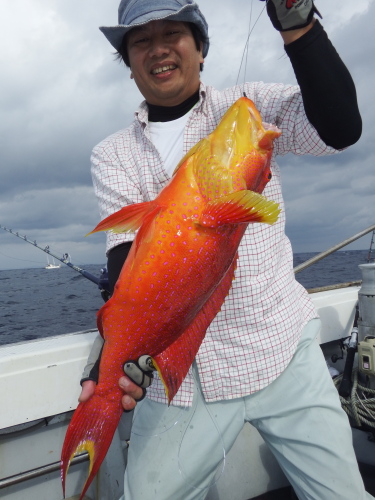 DSCF5075201511010011