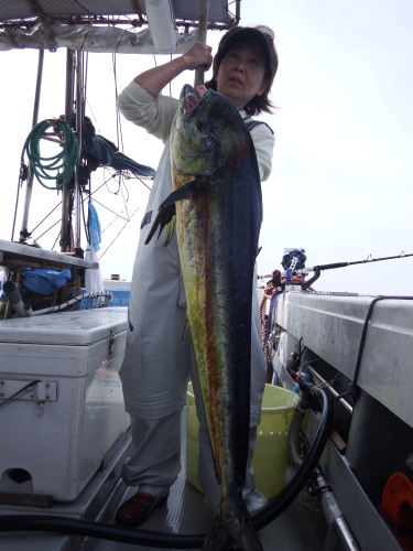 DSCF5171