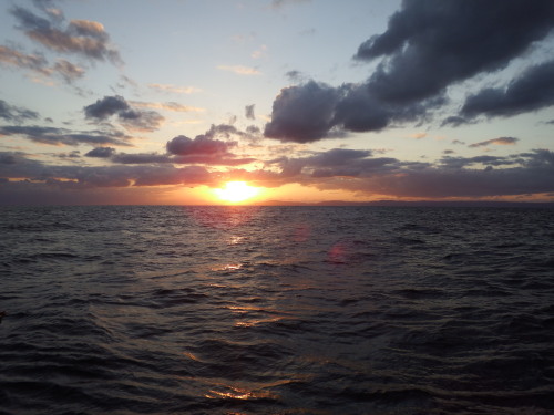 dscf029919