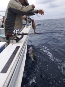 奄美大島の釣り