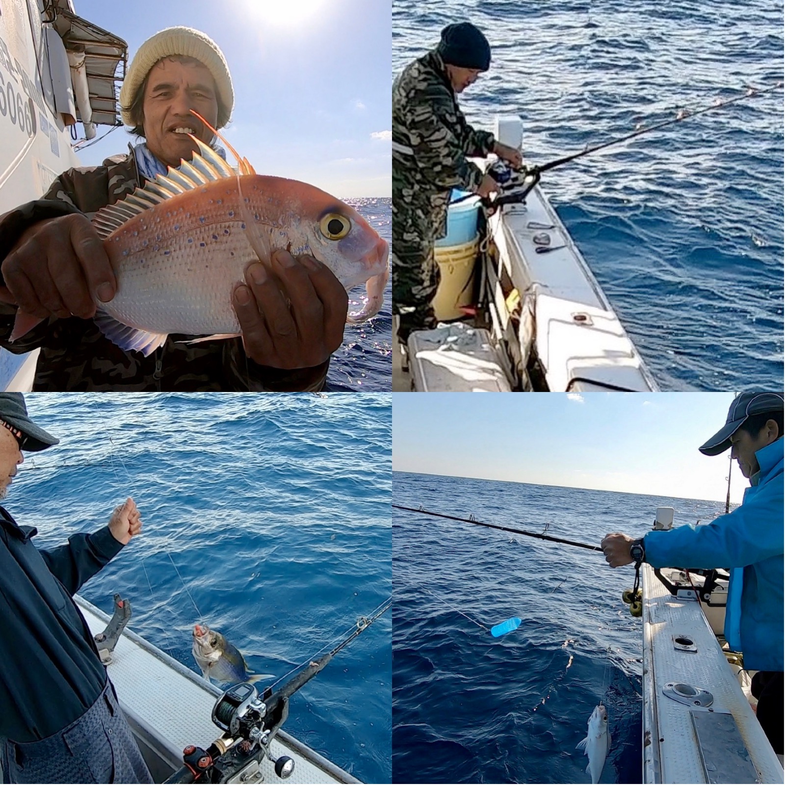 [奄美大島釣船]五目釣りでアオダイ狙う！ 奄美大島・トカラ列島の大物釣り｜釣船アルカトラズ